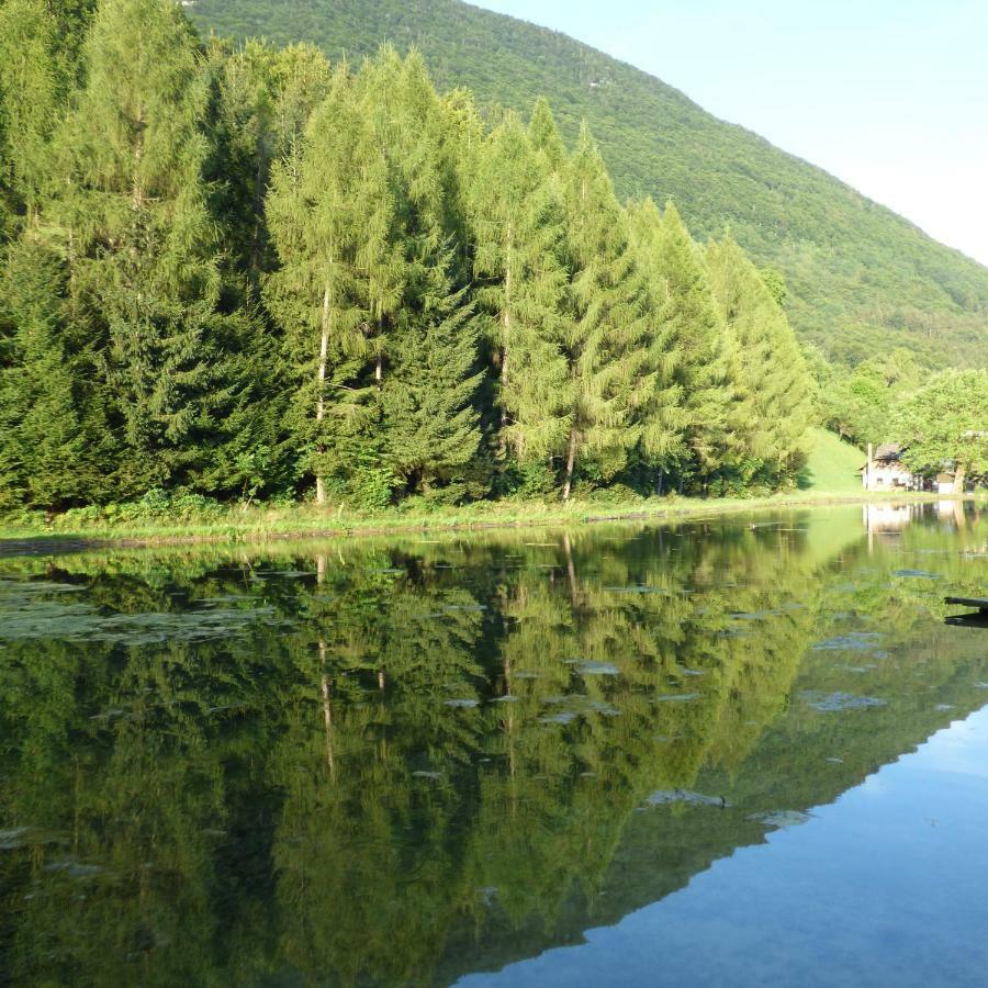 Wieselmuehle Forellenhof Грюнау-им-Альмталь Экстерьер фото